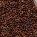 Sjemenke grožđa: da li je moguće jesti, koristi i štete za tijelo, primjena, sastav